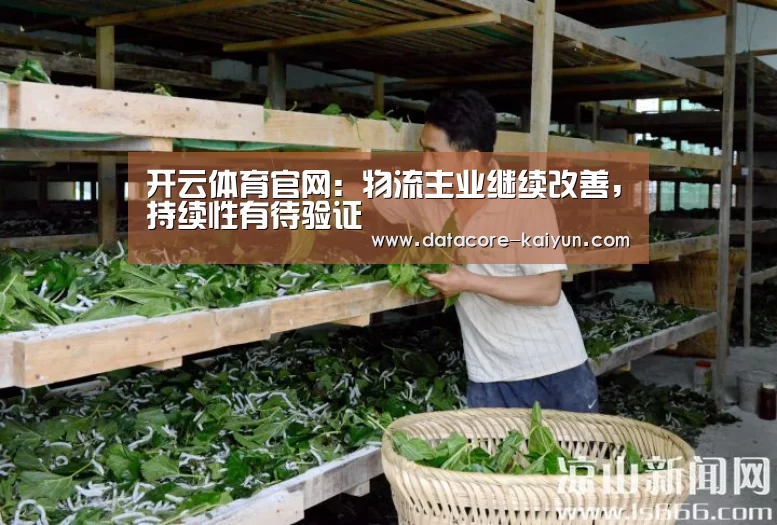 开云体育网站