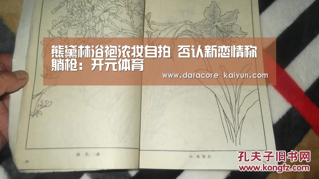 熊黛林浴袍浓妆自拍 否认新恋情称躺枪:开元体育(图2) 开云体育官网