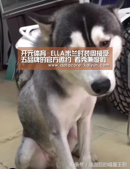 开元体育-ELLA米兰时装周接受五品牌的官方邀约 看秀兼度假大啖米兰美食(图2) 开云体育首页
