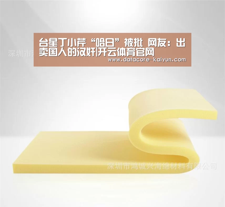 台星丁小芹“哈日”被批 网友:出卖国人的汉奸|开云体育官网(图2) 开元体育